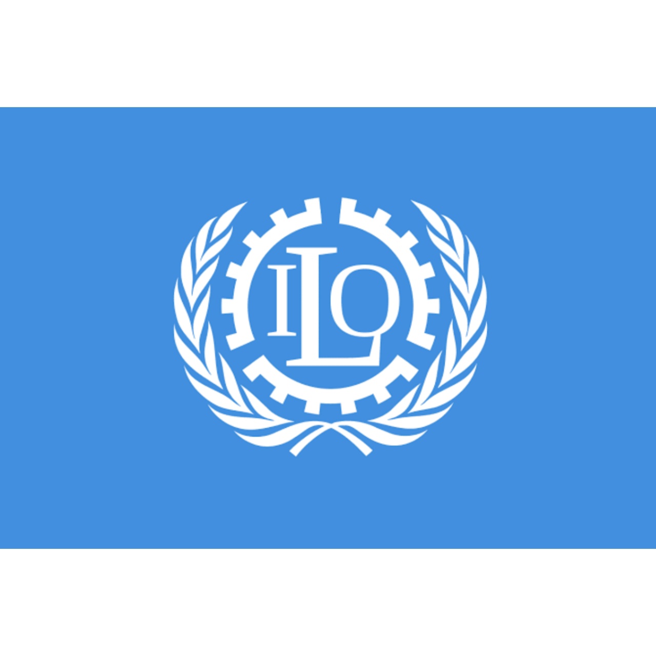 National Project Coordinator at International Labour Organization (ILO ...