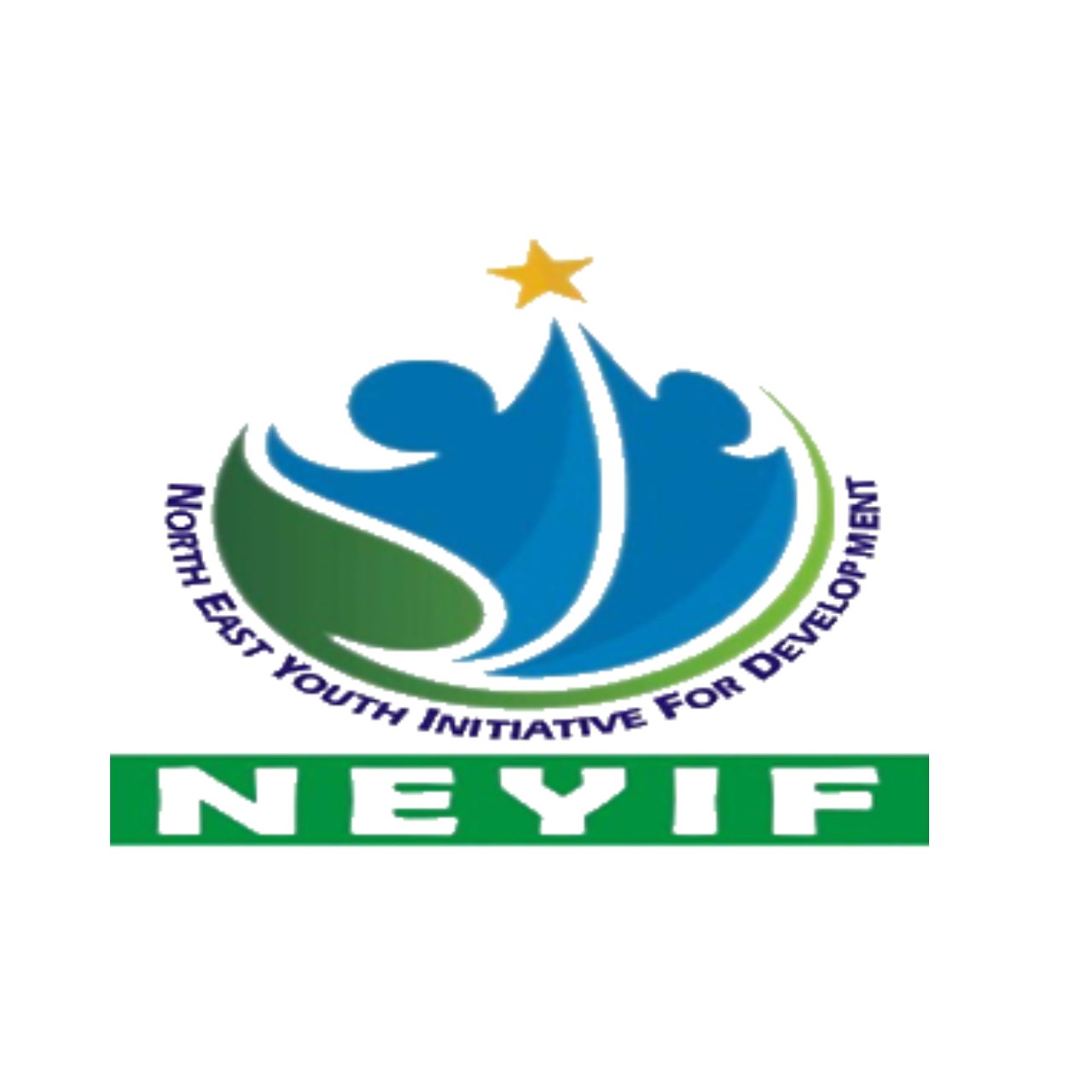 Communications Officer at North-East Youth Initiative For Development ...